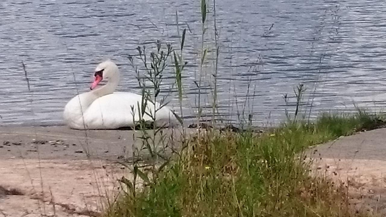 Salno Gard 호텔 Bylehamn 외부 사진